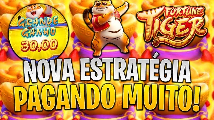 duplo duplo