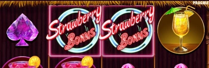 where is molly bloom now