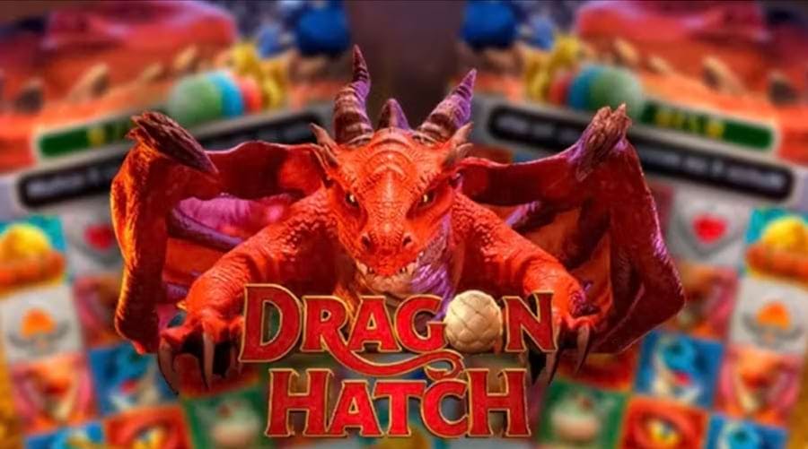 website betting online