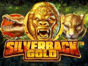 jogos ao vivo gratis net