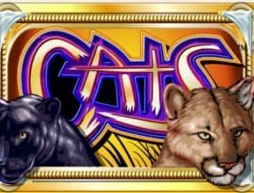 quatro casino 100 free spins